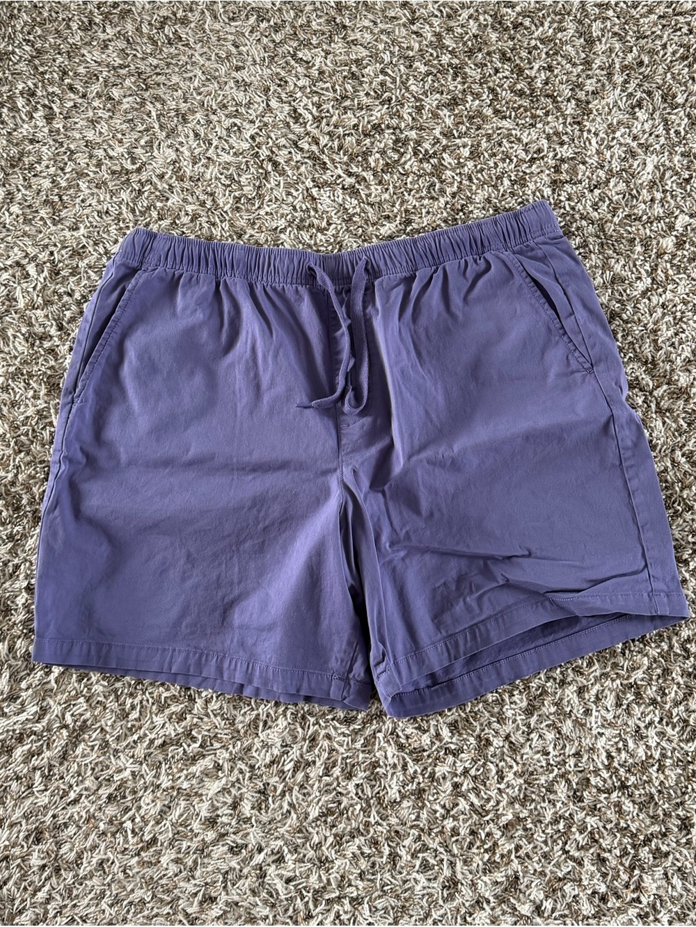 GAP Men's Flat Front Drawstring Shorts in Purple